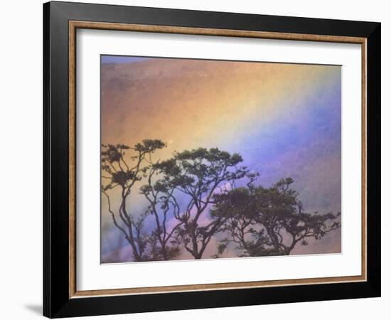 Rainbow over Rural Valley, Guacimal, Costa Rica-Michele Westmorland-Framed Photographic Print