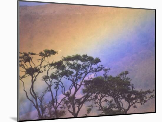 Rainbow over Rural Valley, Guacimal, Costa Rica-Michele Westmorland-Mounted Photographic Print