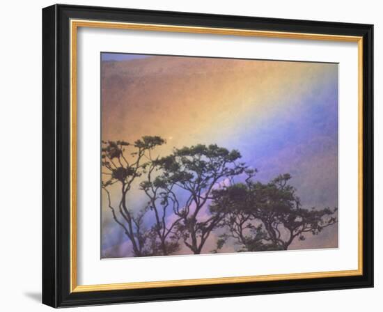 Rainbow over Rural Valley, Guacimal, Costa Rica-Michele Westmorland-Framed Photographic Print