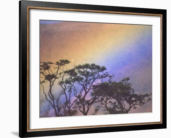 Rainbow over Rural Valley, Guacimal, Costa Rica-Michele Westmorland-Framed Photographic Print