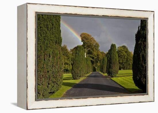 Rainbow over the Yew Walk in Emo Court Gardens,Emo Village, County Laois, Ireland-null-Framed Premier Image Canvas
