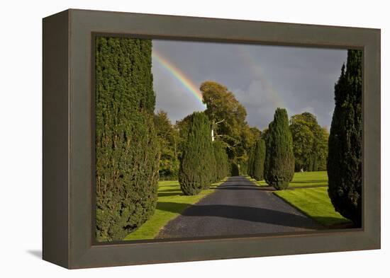 Rainbow over the Yew Walk in Emo Court Gardens,Emo Village, County Laois, Ireland-null-Framed Premier Image Canvas