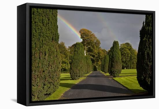 Rainbow over the Yew Walk in Emo Court Gardens,Emo Village, County Laois, Ireland-null-Framed Premier Image Canvas