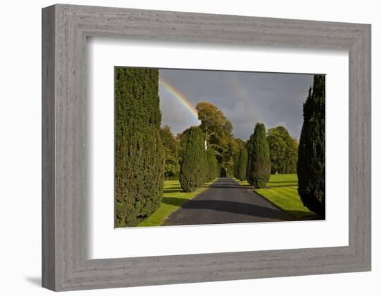 Rainbow over the Yew Walk in Emo Court Gardens,Emo Village, County Laois, Ireland--Framed Photographic Print