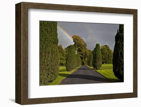 Rainbow over the Yew Walk in Emo Court Gardens,Emo Village, County Laois, Ireland-null-Framed Photographic Print