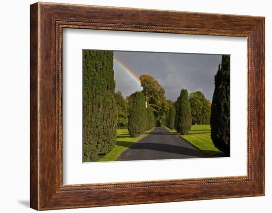 Rainbow over the Yew Walk in Emo Court Gardens,Emo Village, County Laois, Ireland-null-Framed Photographic Print