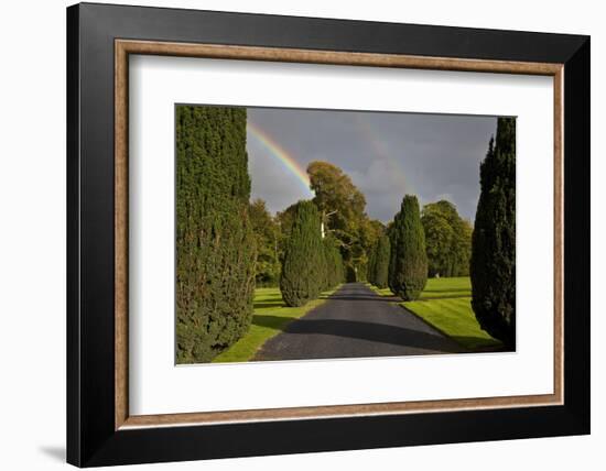 Rainbow over the Yew Walk in Emo Court Gardens,Emo Village, County Laois, Ireland-null-Framed Photographic Print