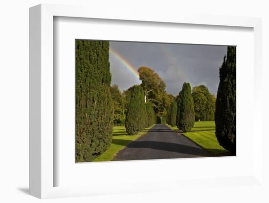 Rainbow over the Yew Walk in Emo Court Gardens,Emo Village, County Laois, Ireland-null-Framed Photographic Print