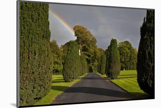 Rainbow over the Yew Walk in Emo Court Gardens,Emo Village, County Laois, Ireland-null-Mounted Photographic Print