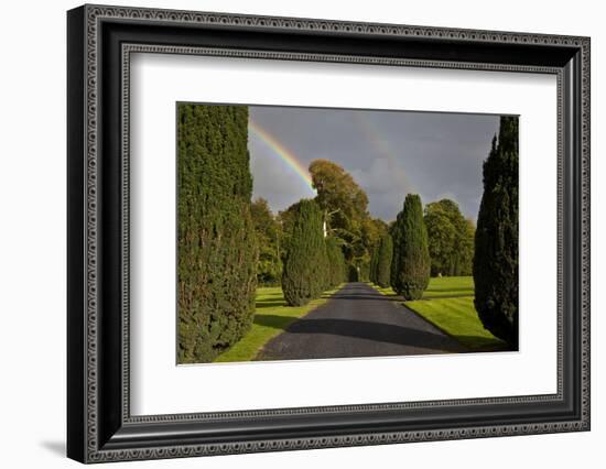 Rainbow over the Yew Walk in Emo Court Gardens,Emo Village, County Laois, Ireland-null-Framed Photographic Print