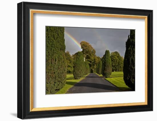 Rainbow over the Yew Walk in Emo Court Gardens,Emo Village, County Laois, Ireland-null-Framed Photographic Print