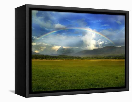 Rainbow Over Valley-Gary W. Carter-Framed Premier Image Canvas