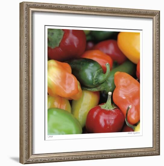 Rainbow Peppers-Stacy Bass-Framed Giclee Print