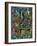 Rainbow Rainforest-Bill Bell-Framed Giclee Print