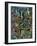 Rainbow Rainforest-Bill Bell-Framed Giclee Print