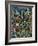 Rainbow Rainforest-Bill Bell-Framed Giclee Print