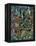 Rainbow Rainforest-Bill Bell-Framed Premier Image Canvas