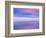 Rainbow Reflecting over Swan-Cindy Kassab-Framed Photographic Print