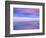 Rainbow Reflecting over Swan-Cindy Kassab-Framed Photographic Print