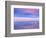 Rainbow Reflecting over Swan-Cindy Kassab-Framed Photographic Print