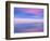 Rainbow Reflecting over Swan-Cindy Kassab-Framed Photographic Print