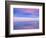 Rainbow Reflecting over Swan-Cindy Kassab-Framed Photographic Print