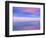 Rainbow Reflecting over Swan-Cindy Kassab-Framed Photographic Print