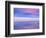 Rainbow Reflecting over Swan-Cindy Kassab-Framed Photographic Print