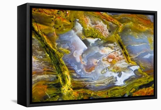 Rainbow Ridge Picture Agate-Darrell Gulin-Framed Premier Image Canvas