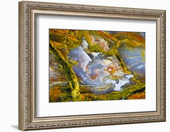 Rainbow Ridge Picture Agate-Darrell Gulin-Framed Photographic Print