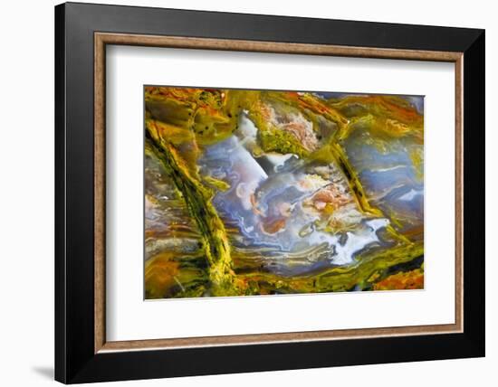 Rainbow Ridge Picture Agate-Darrell Gulin-Framed Photographic Print