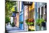 Rainbow Row I, Charleston South Carolina-George Oze-Mounted Photographic Print