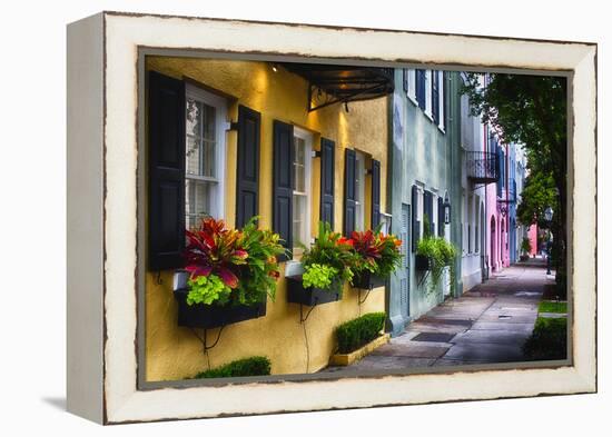 Rainbow Row II, Charleston South Carolina-George Oze-Framed Premier Image Canvas