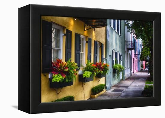 Rainbow Row II, Charleston South Carolina-George Oze-Framed Premier Image Canvas