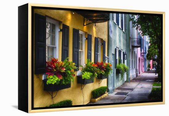 Rainbow Row II, Charleston South Carolina-George Oze-Framed Premier Image Canvas