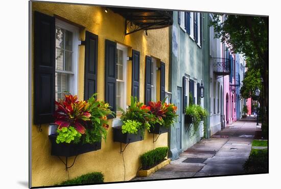 Rainbow Row II, Charleston South Carolina-George Oze-Mounted Photographic Print