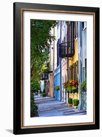 Rainbow Row III Charleston, South Carolina-George Oze-Framed Photographic Print