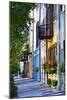 Rainbow Row III Charleston, South Carolina-George Oze-Mounted Photographic Print