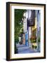Rainbow Row III Charleston, South Carolina-George Oze-Framed Photographic Print
