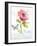 Rainbow Seeds Floral VI Faith-Lisa Audit-Framed Art Print