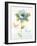 Rainbow Seeds Floral VII Hope-Lisa Audit-Framed Art Print