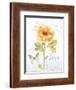 Rainbow Seeds Floral VIII Love-Lisa Audit-Framed Art Print
