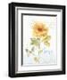 Rainbow Seeds Floral VIII Love-Lisa Audit-Framed Art Print