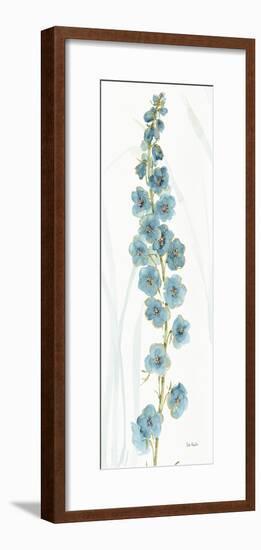 Rainbow Seeds Flowers VI-Lisa Audit-Framed Art Print