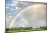 Rainbow Series 2013-Robert Goldwitz-Mounted Photographic Print