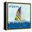 Rainbow Spinnakers II-Courtney Prahl-Framed Stretched Canvas