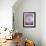 Rainbow Spirit-Judy Mastrangelo-Framed Giclee Print displayed on a wall