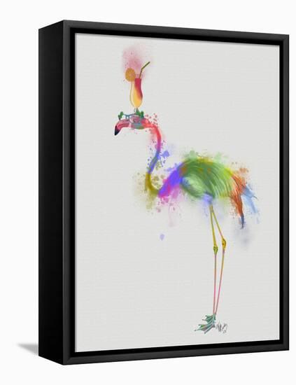 Rainbow Splash Flamingo 1-Fab Funky-Framed Stretched Canvas