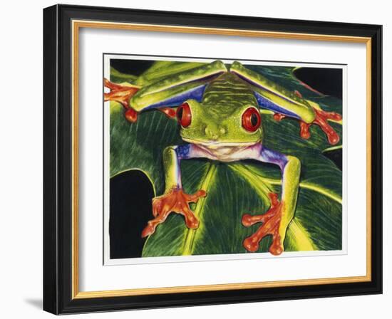 Rainbow Splendor-Barbara Keith-Framed Giclee Print