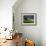 Rainbow, Stormy Sky and Clothes Line, Bunmahon, County Waterford, Ireland-null-Framed Photographic Print displayed on a wall